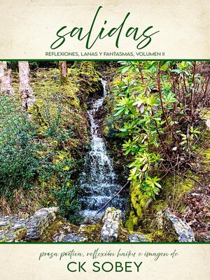 cover image of Salidas